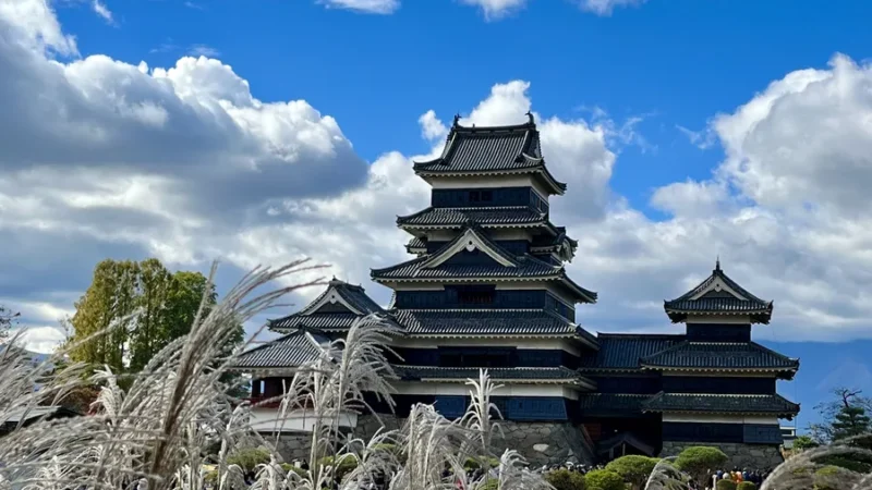 Nagano castle view from garden