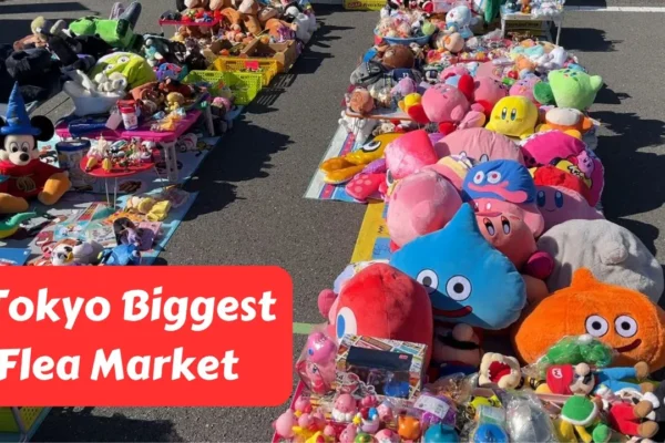 Biggest Flea Market in Tokyo! Antiques and Street Food!