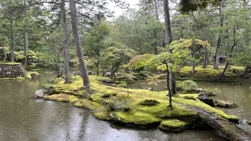 Kokedera temple covered in moss in Kyoto