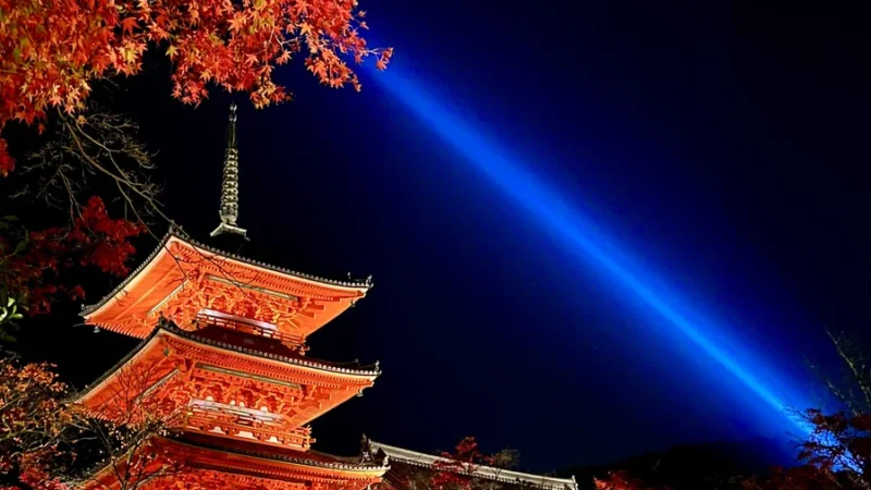 Kyomizudera at night with illumination during autumn leaves season