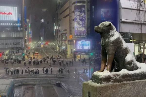 Tokyo, Shibuya Covered in Snow!