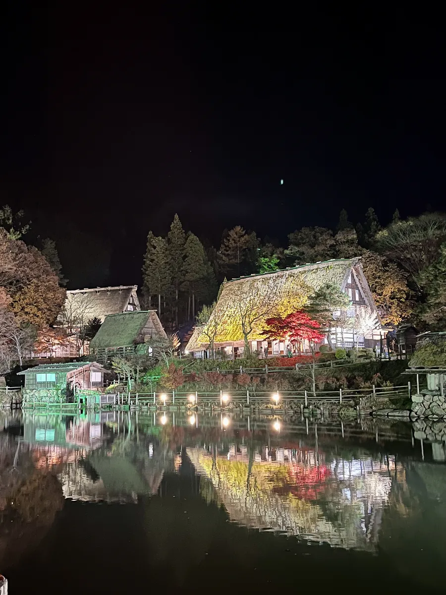 heritage houses light-up in Takayama