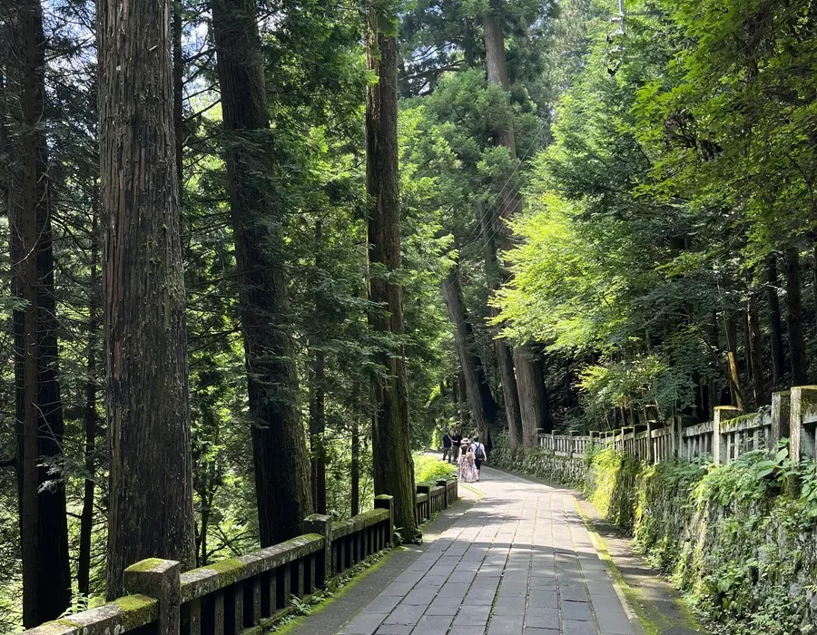 a temple street among nature